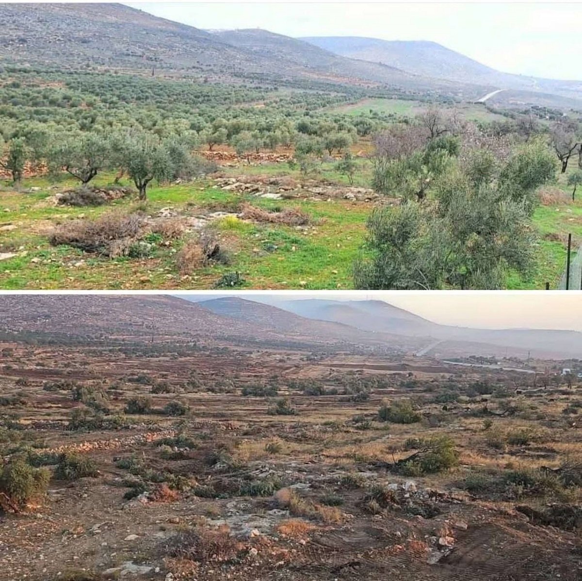 الاحتلال يواصل عدوانه على قرية المغير ويكثف اعتقالاته بالضفة